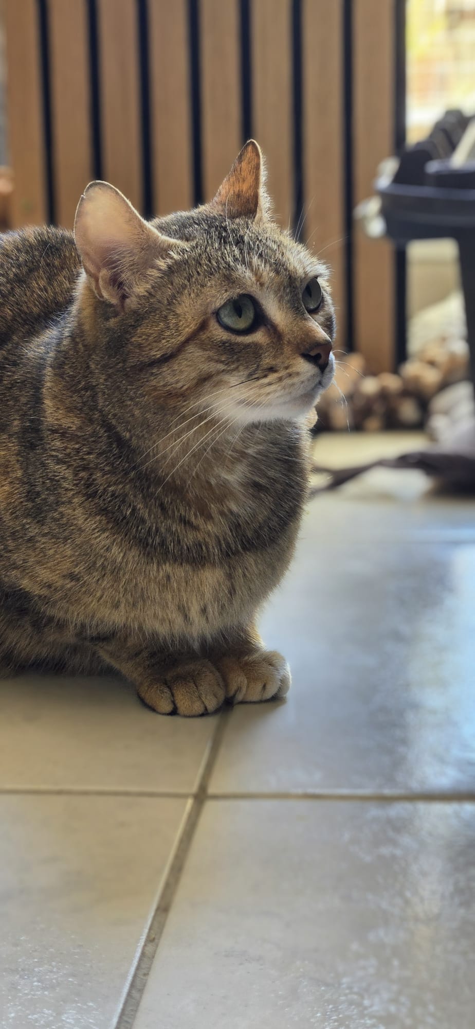 WhatsApp Image 2026-04-18 at 13.01.35 (1)