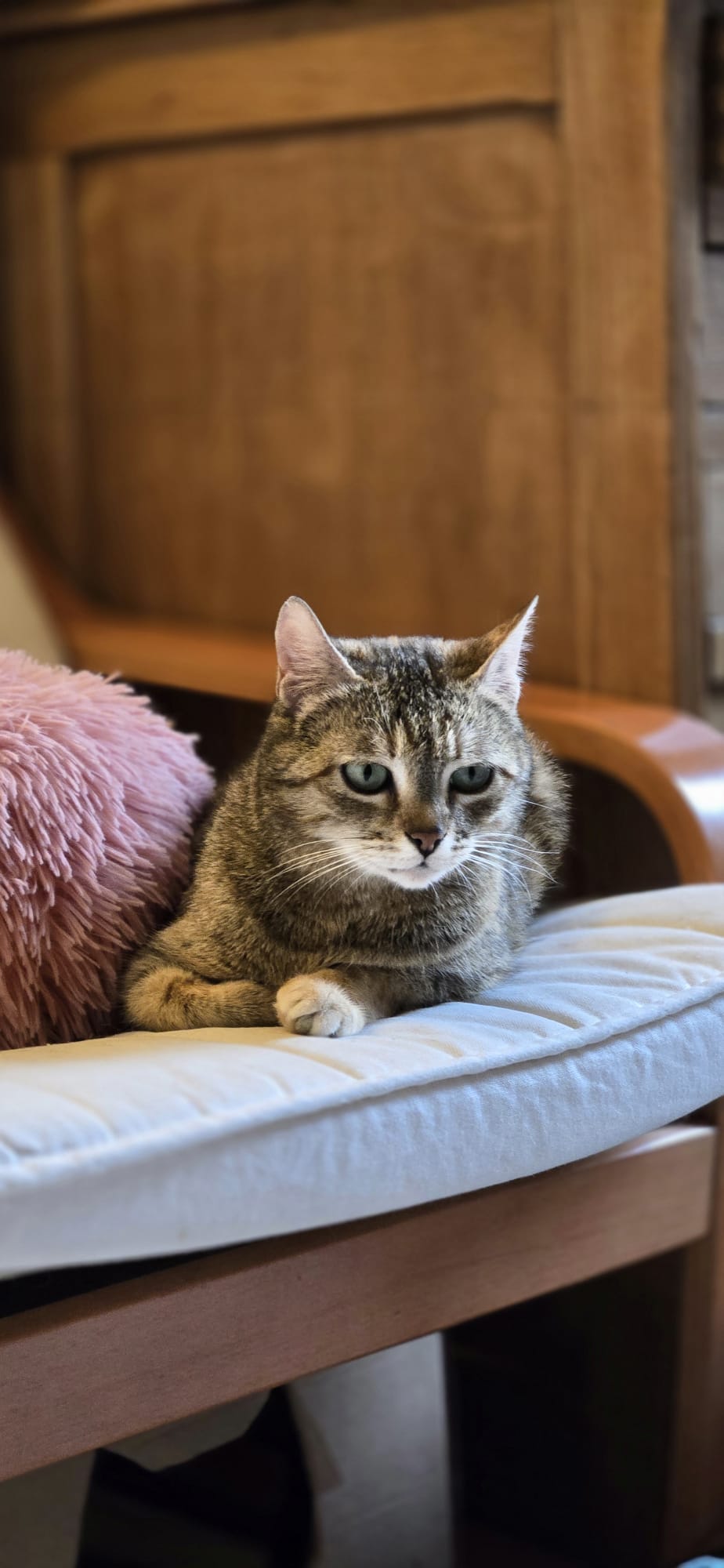 WhatsApp Image 2026-04-18 at 13.01.35