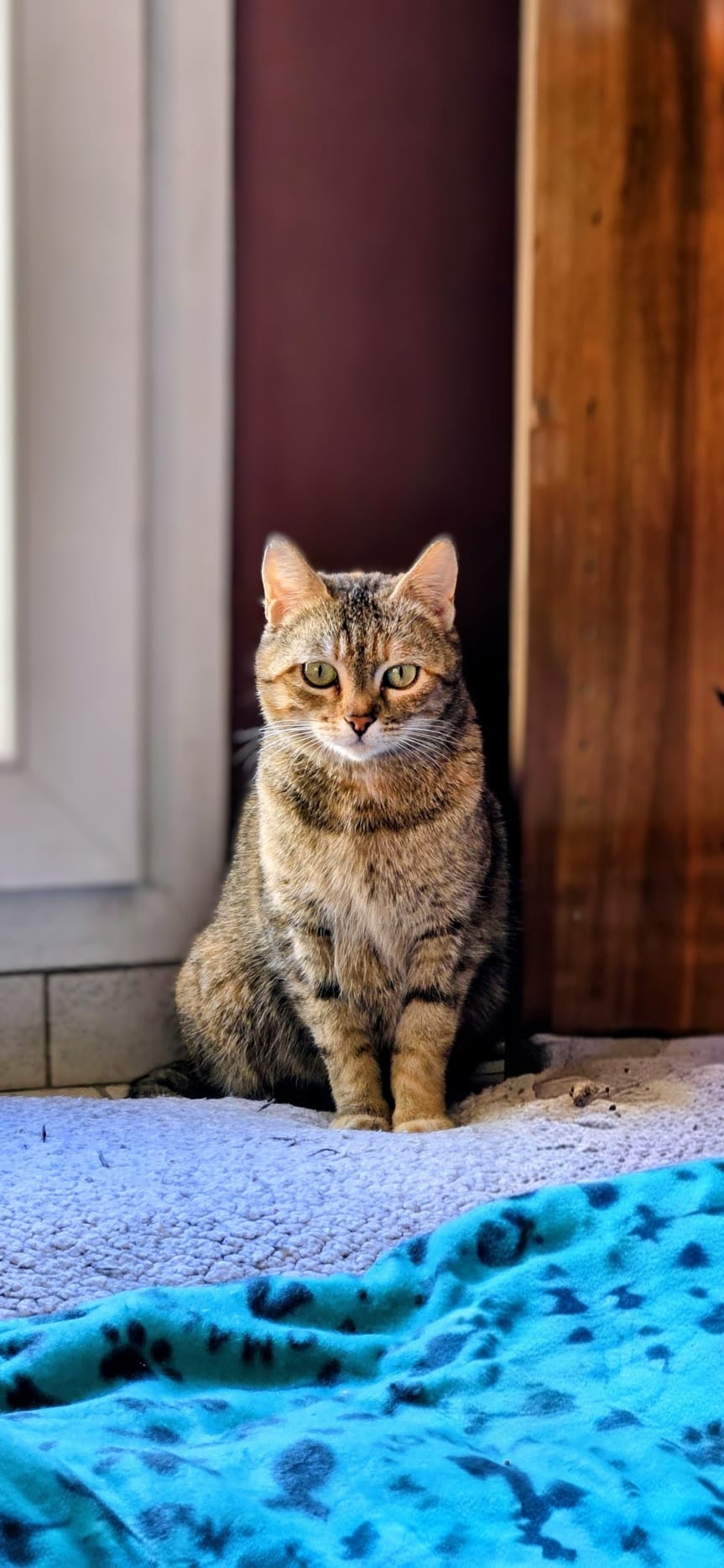 WhatsApp Image 2026-04-18 at 13.01.36 (3)