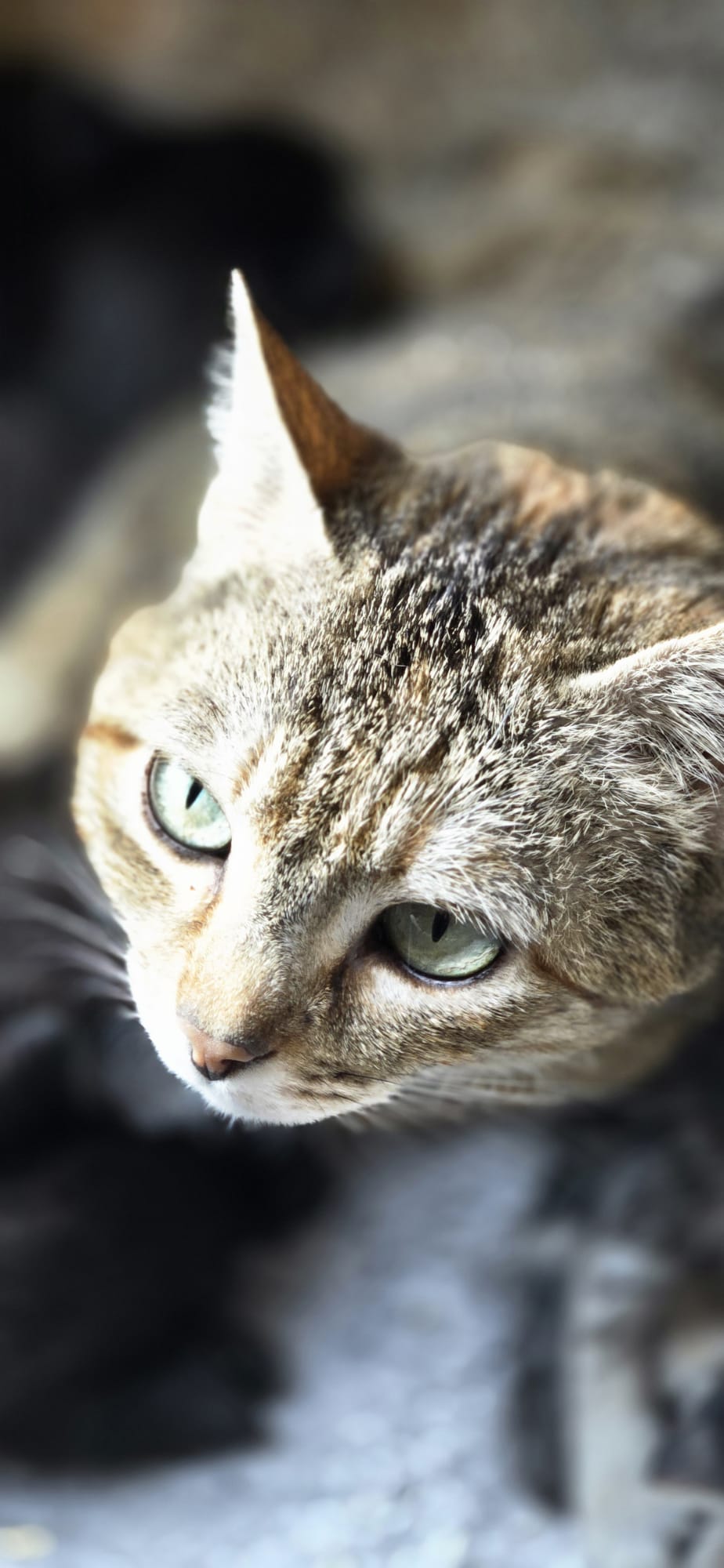 WhatsApp Image 2026-04-18 at 13.01.36 (5)