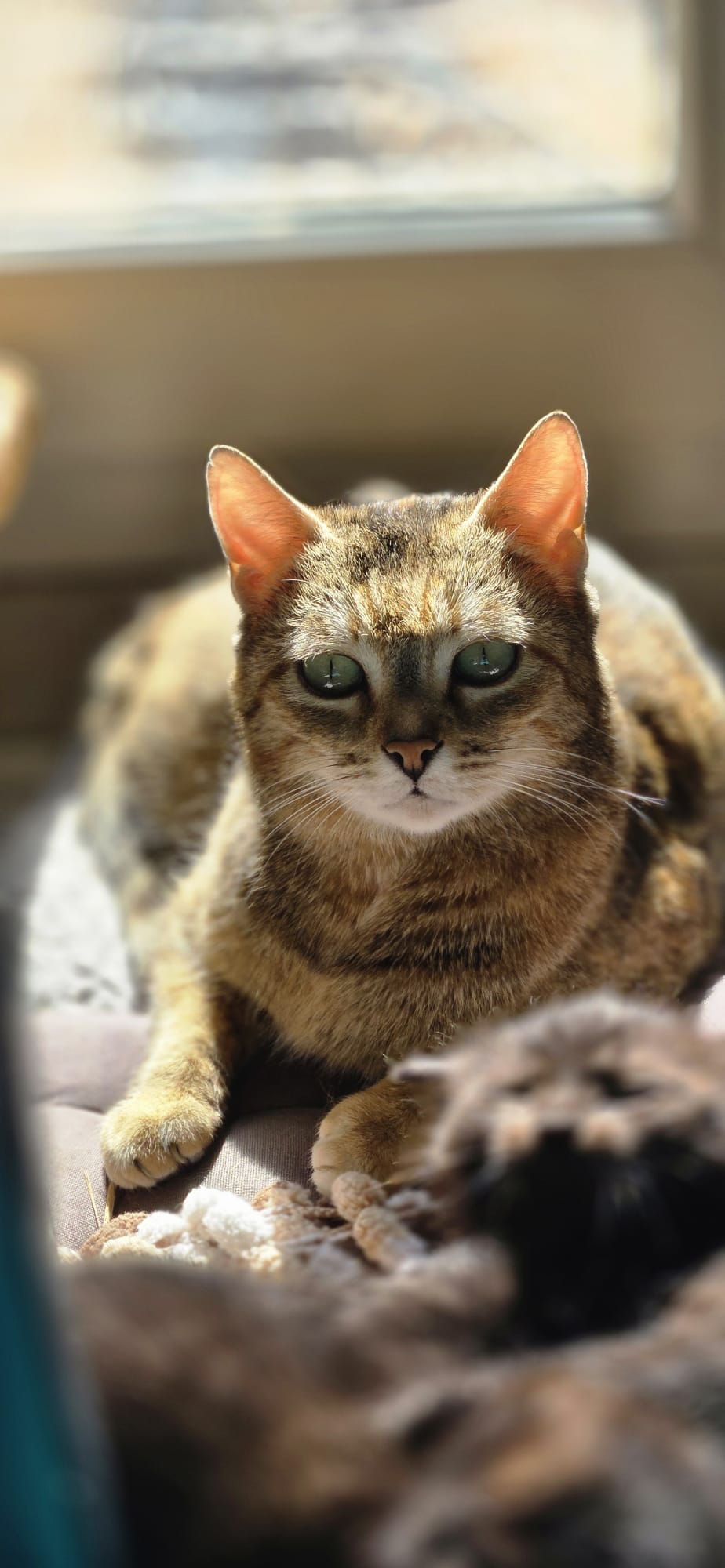 WhatsApp Image 2026-04-18 at 13.01.36