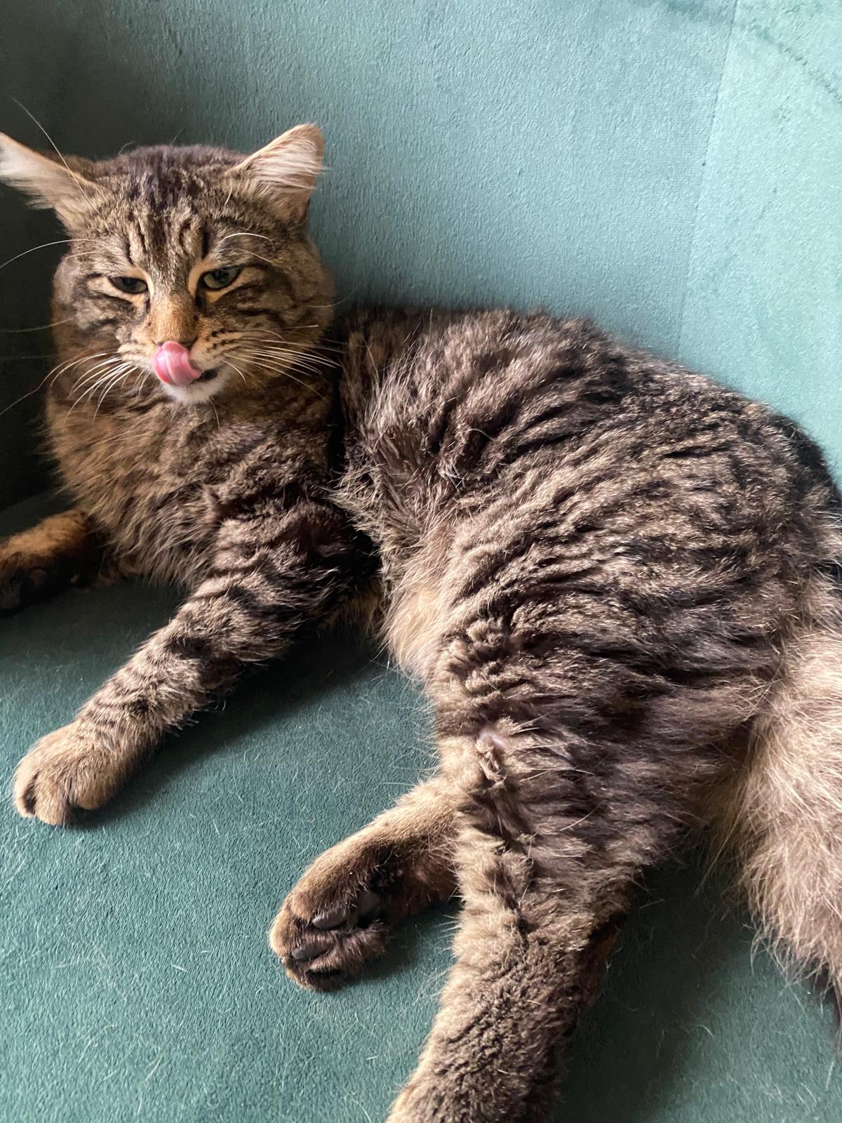 WhatsApp Image 2026-04-18 at 14.46.35 (1)