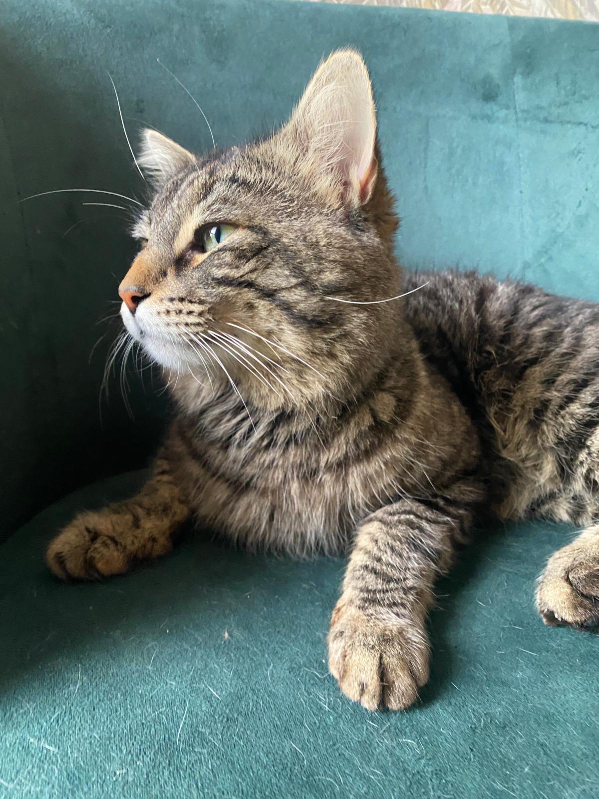 WhatsApp Image 2026-04-18 at 14.46.35 (2)