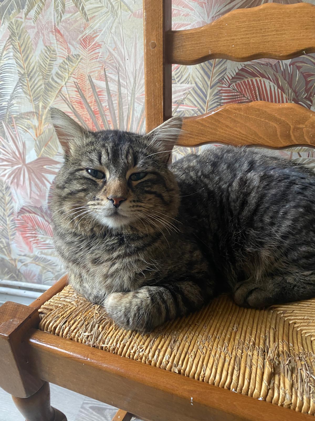 WhatsApp Image 2026-04-18 at 14.46.35