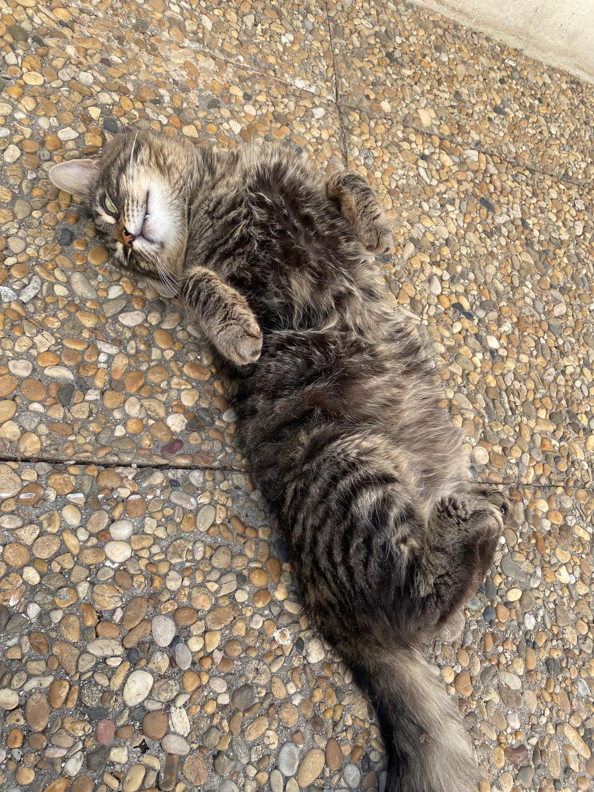 WhatsApp Image 2026-04-18 at 14.46.36 (1)