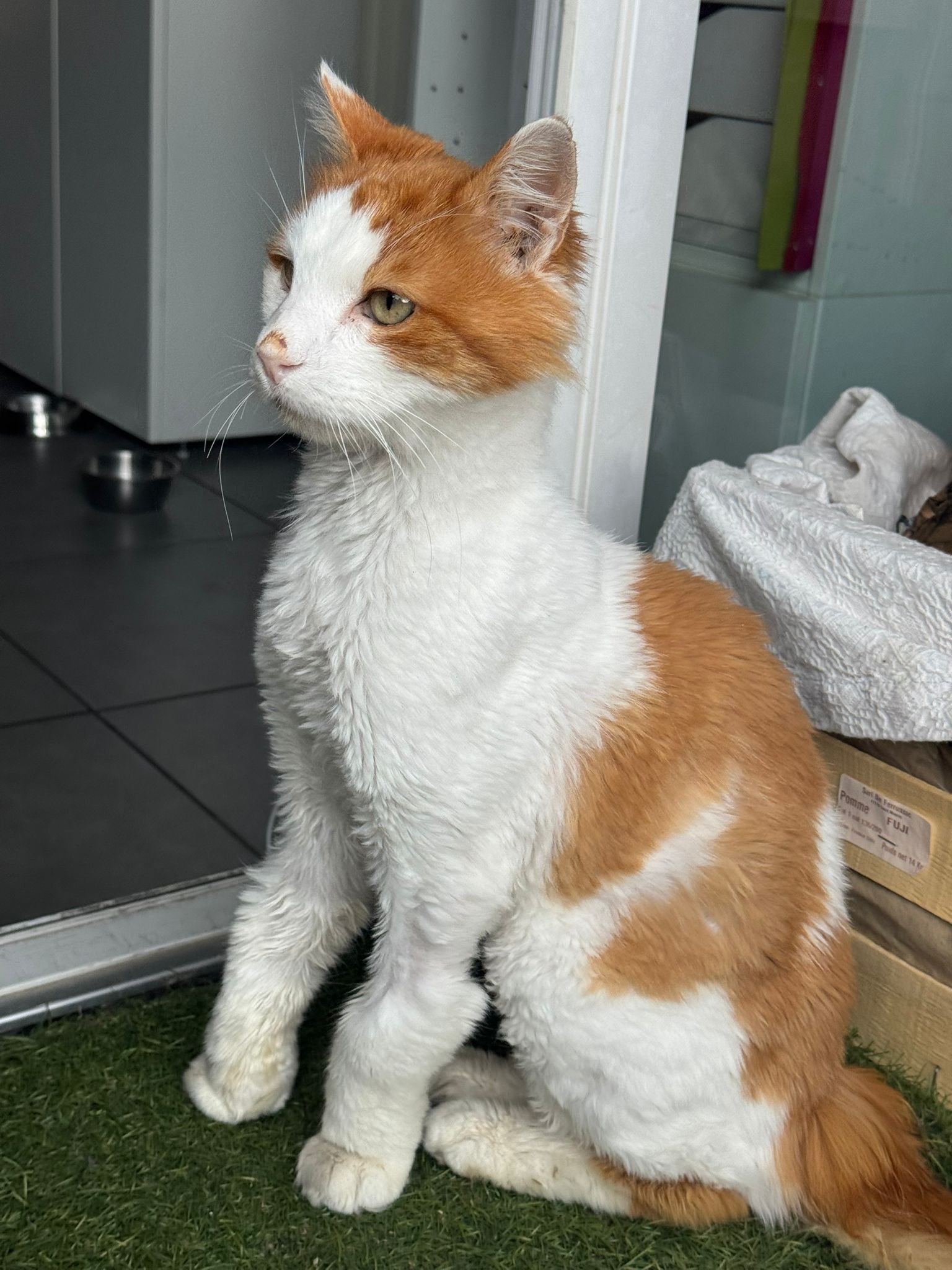 WhatsApp Image 2026-04-22 at 11.42.24