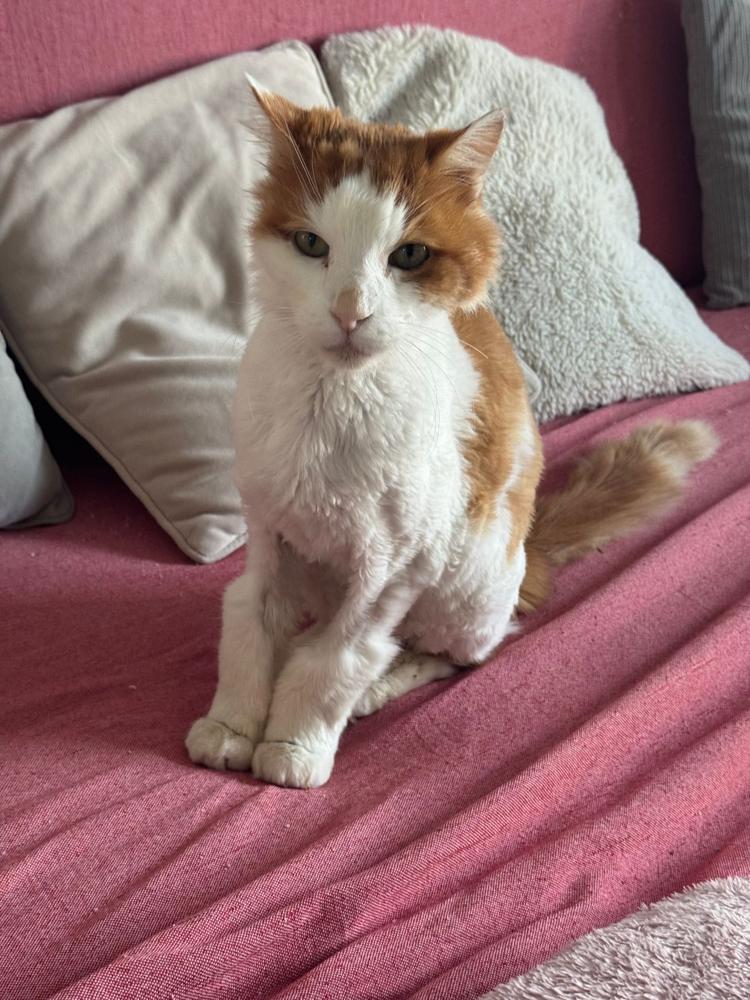 WhatsApp Image 2026-04-22 at 11.42.31