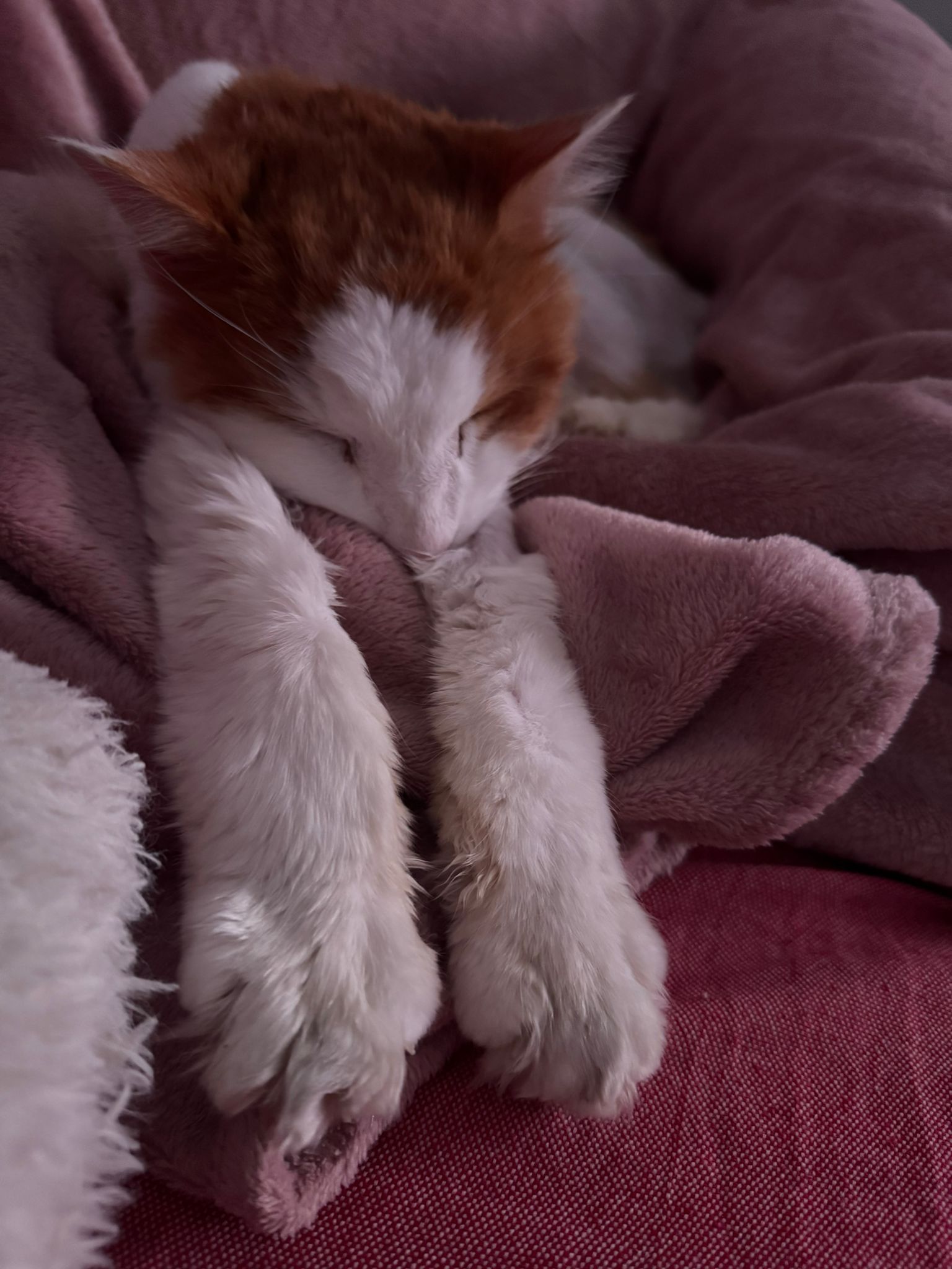 WhatsApp Image 2026-04-22 at 11.42.32