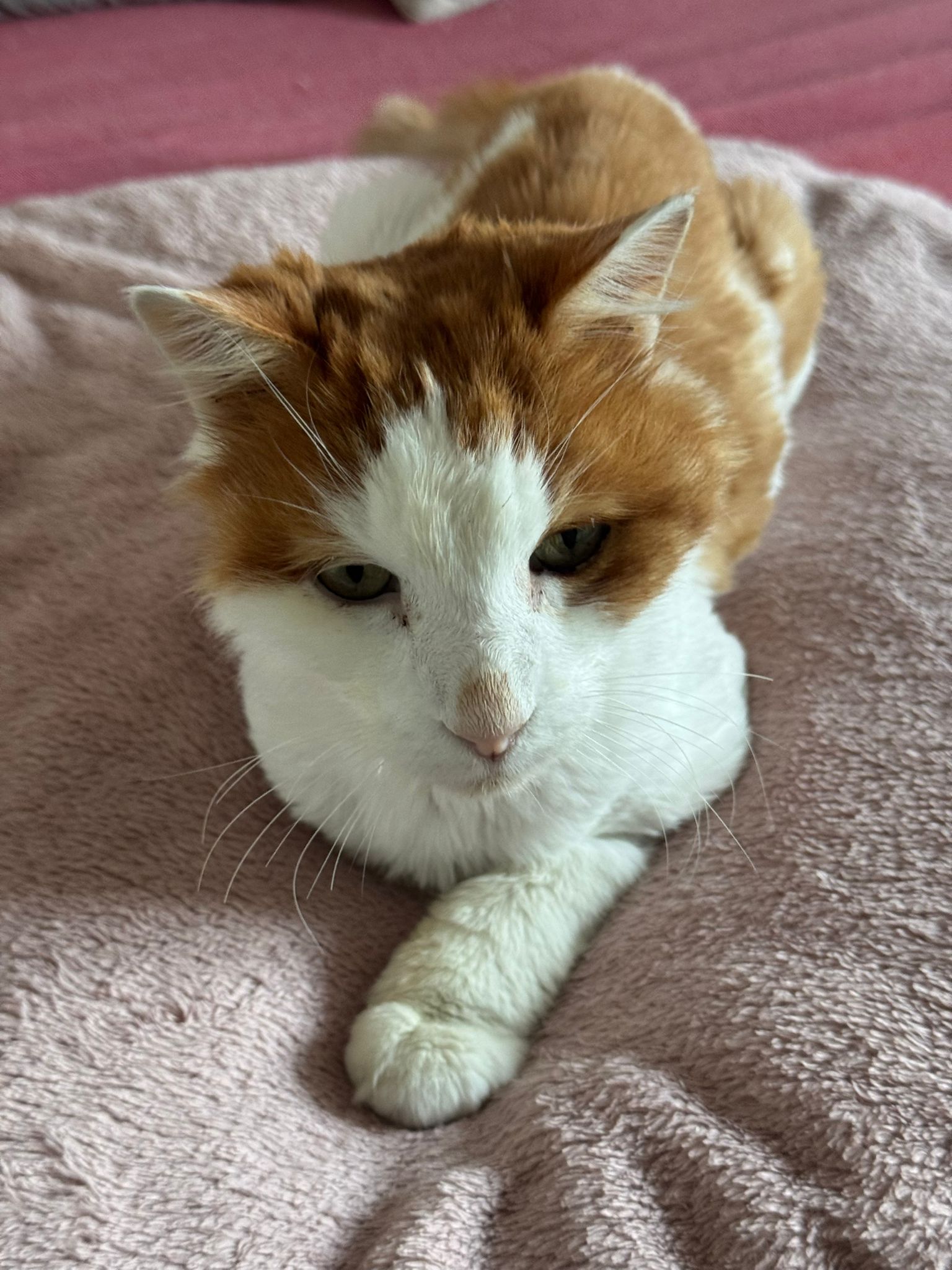 WhatsApp Image 2026-04-22 at 11.42.33