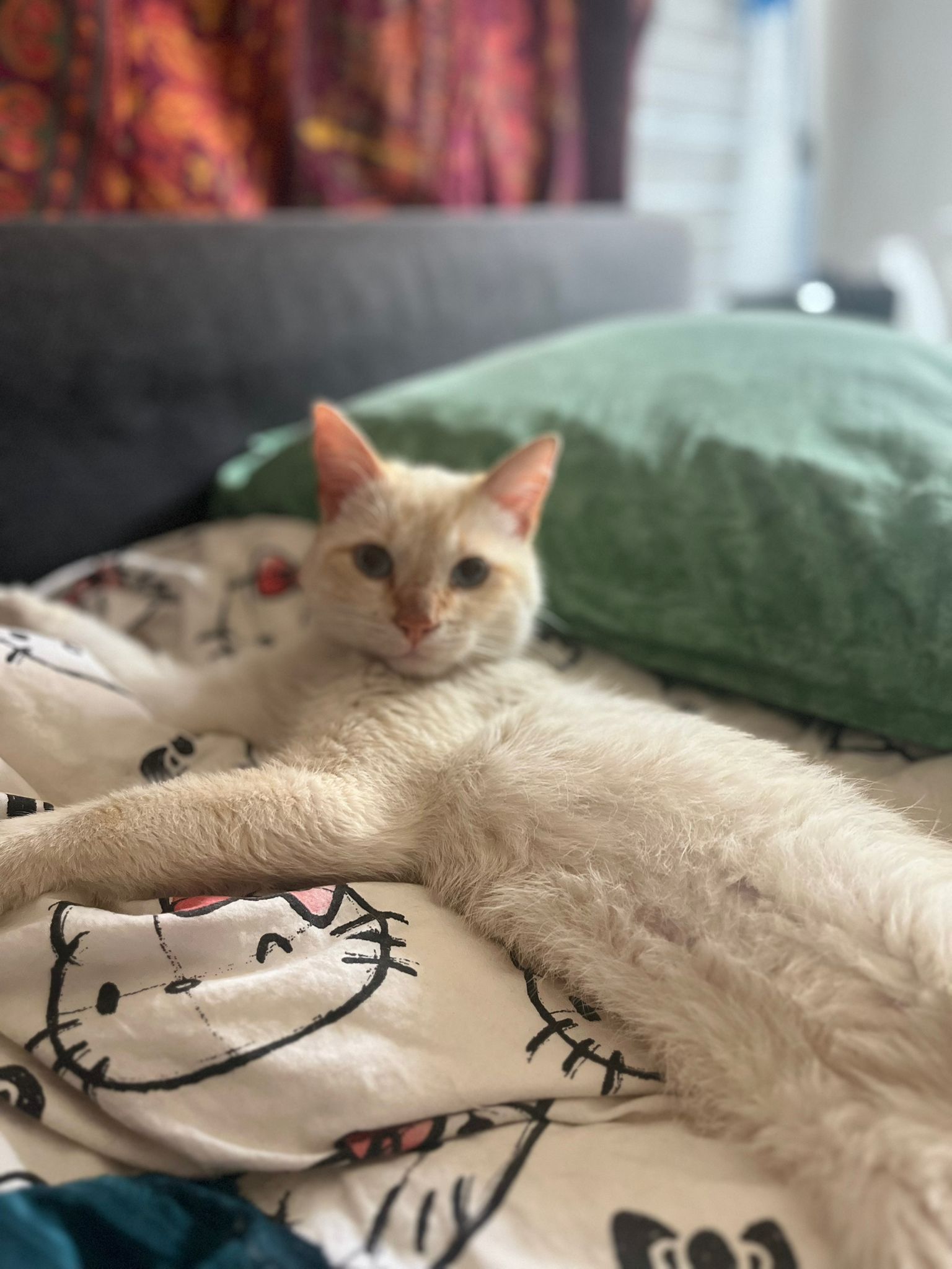 WhatsApp Image 2026-04-22 at 16.58.48 (1)