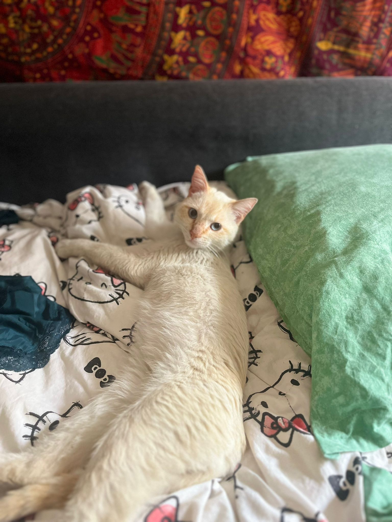 WhatsApp Image 2026-04-22 at 16.58.48 (2)