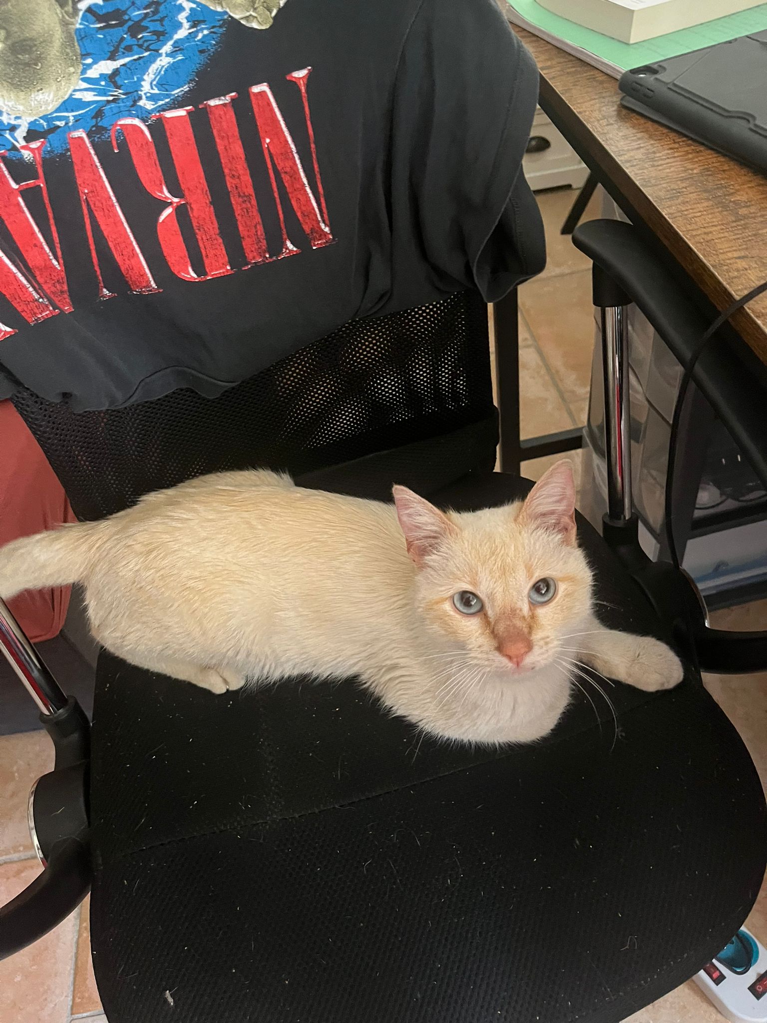 WhatsApp Image 2026-04-22 at 16.58.48