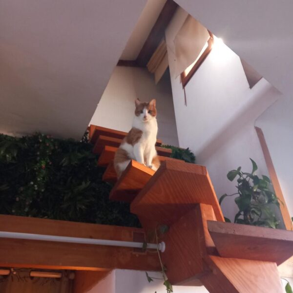 WhatsApp Image 2026-04-30 at 21.59.35 (2)