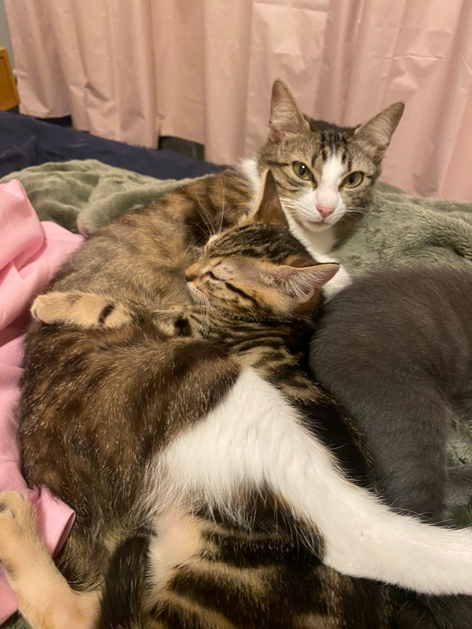 WhatsApp Image 2026-05-10 at 19.45.55