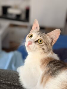 IMG_2169