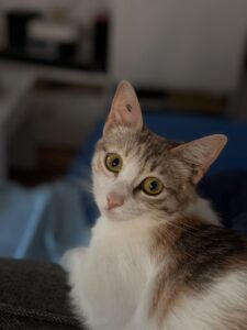 IMG_2171