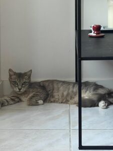 WhatsApp Image 2026-06-28 at 22.35.47 (1)